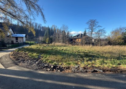 działka na sprzedaż - Jaworze